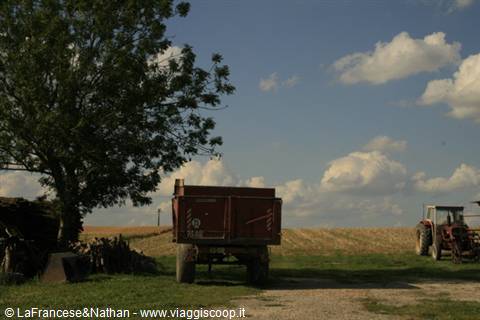 la campagna dello Champagne