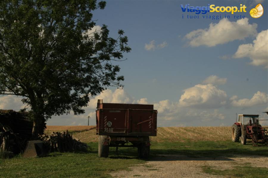 la campagna dello Champagne