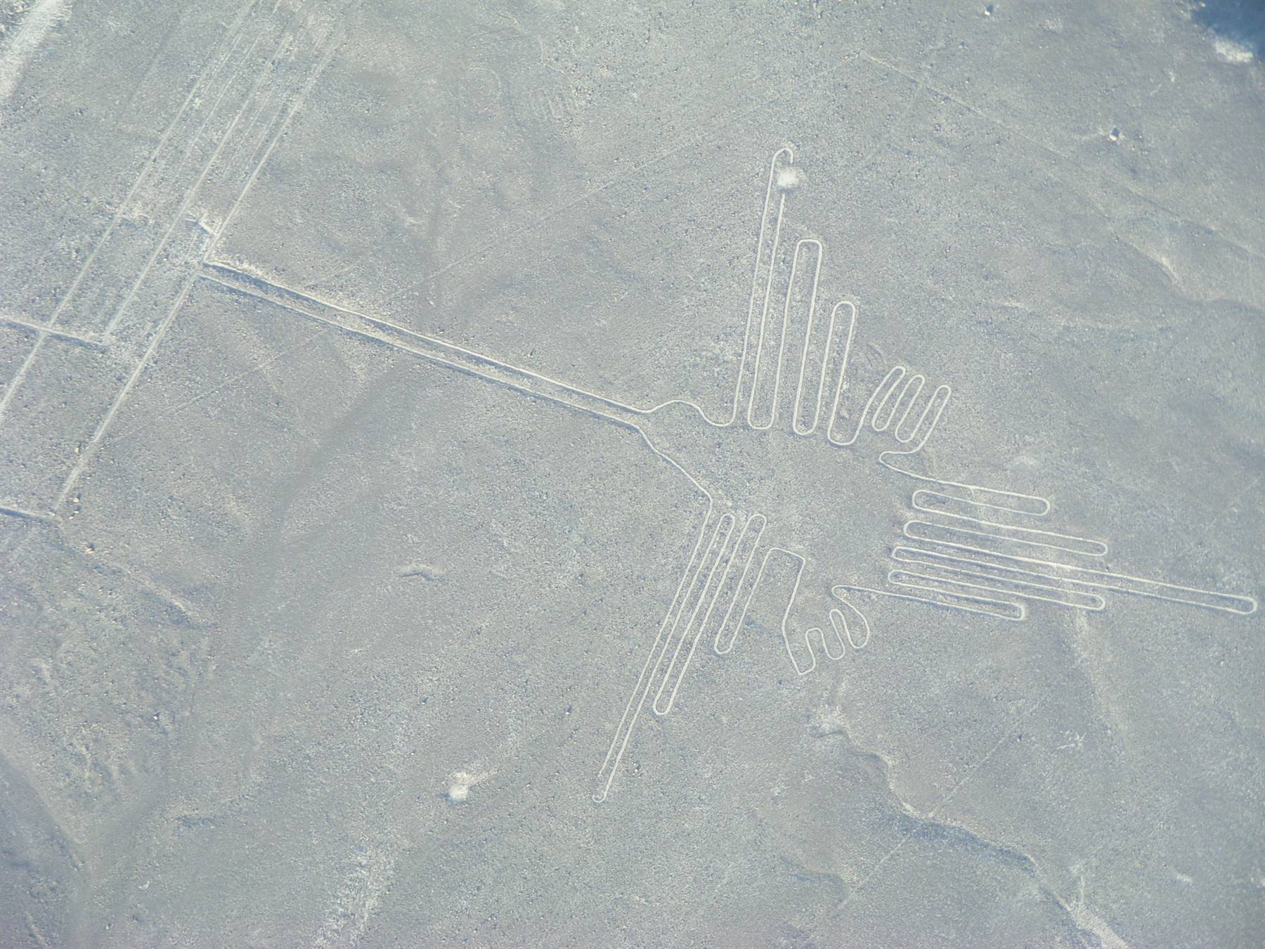 linee Nasca: il Colibrì