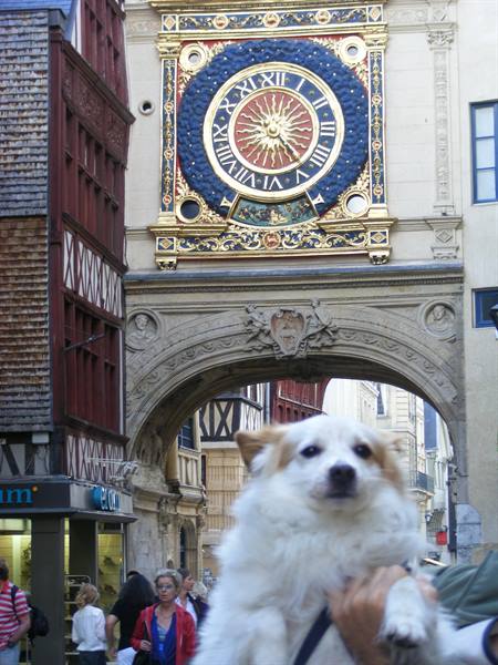 UGO BEDDU A ROUEN