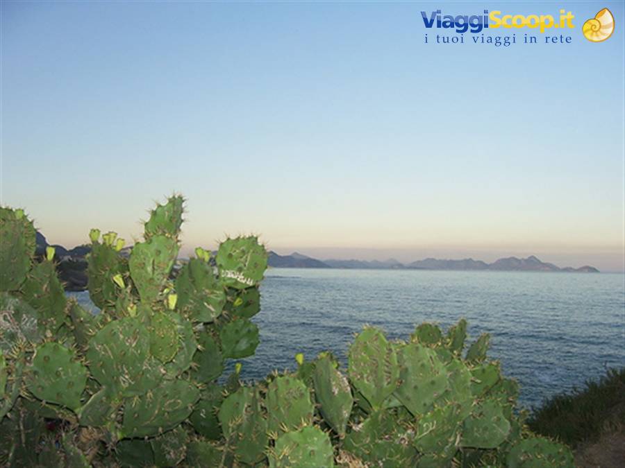 Foto di viaggio in BRASILE
