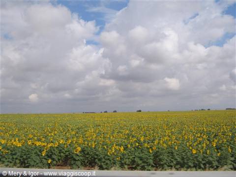Sulla strada verso Siviglia