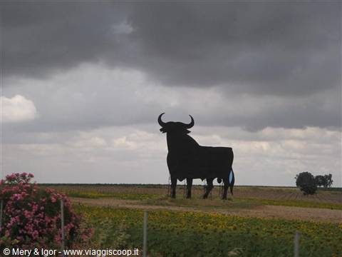 Sulla strada verso Siviglia
