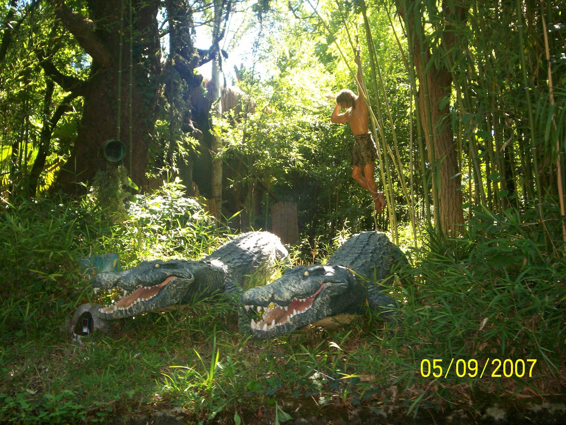 La foresta in uno dei giochi TUNGA