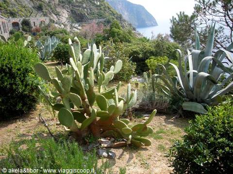 piccolo giardino lungo il sentiero
