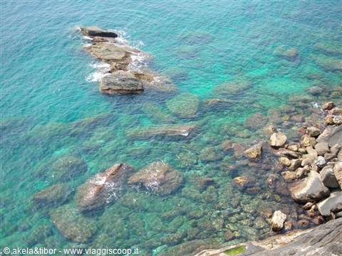 acqua limpidissima