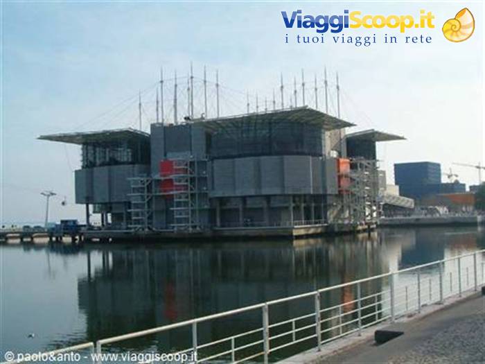 l'acquario