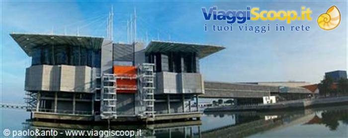 l'acquario