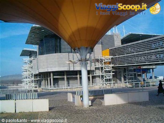 l'acquario