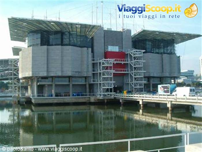 l'acquario