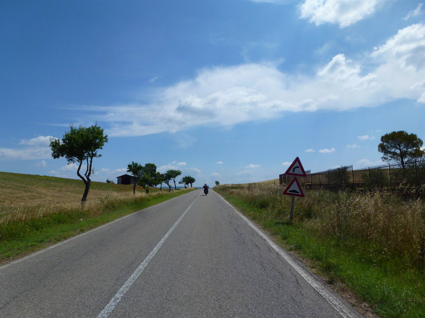 Strada asfaltata tra colline coltivate, cartelli curva, motociclista in lontananza, alberi isolati