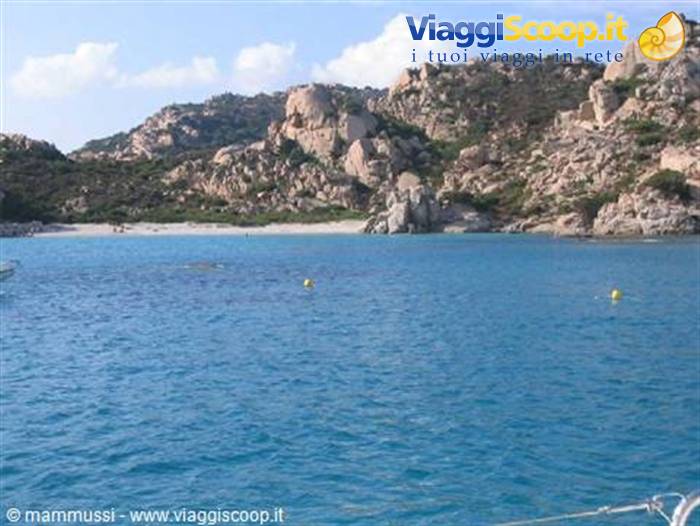 Spargi
