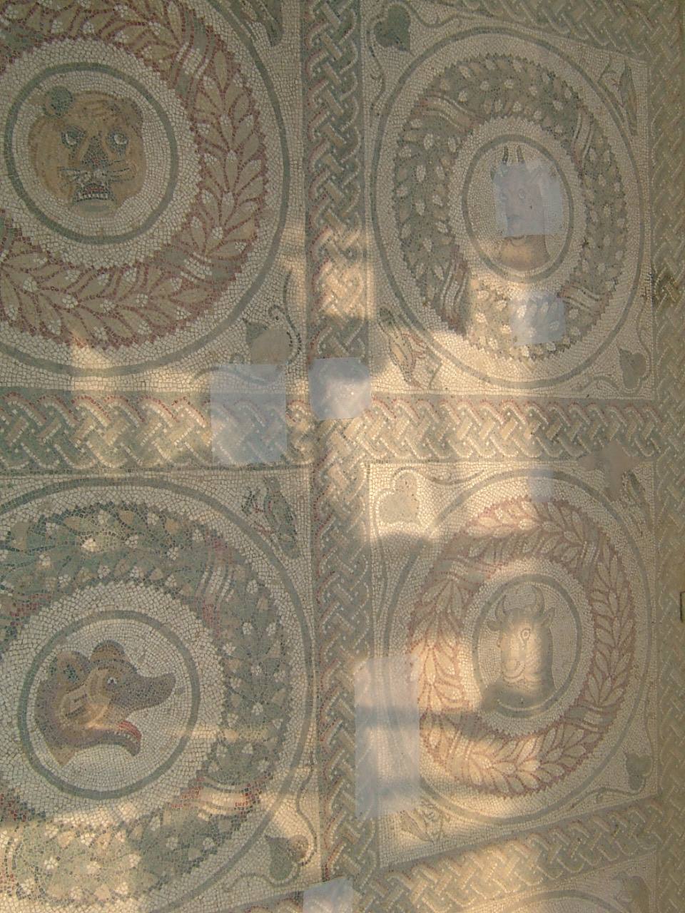 I mosaici