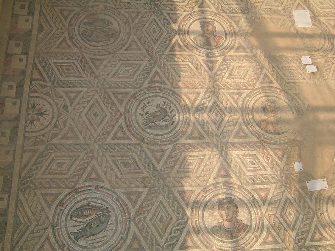 I mosaici