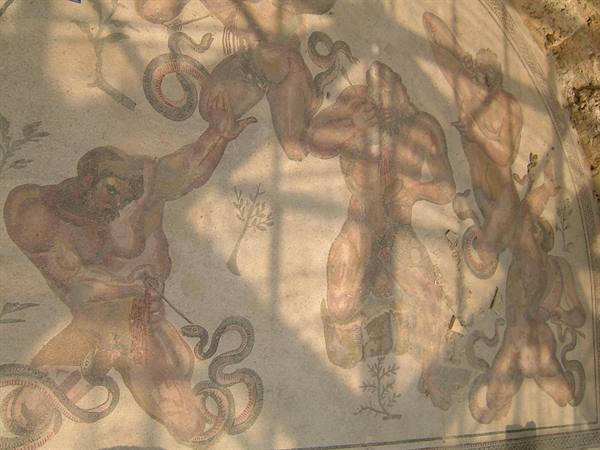 I mosaici