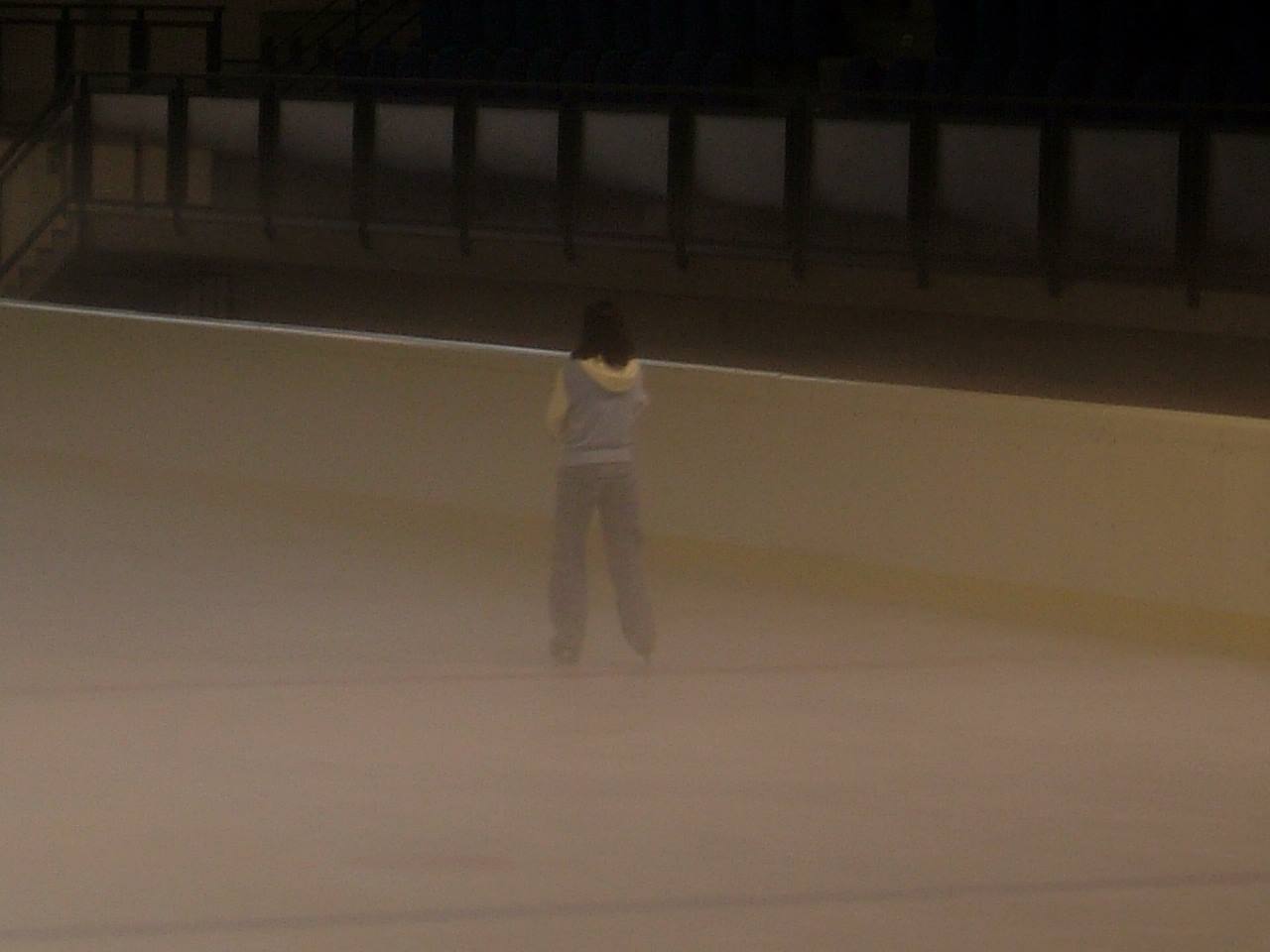 Pista di pattinaggio su ghiaccio