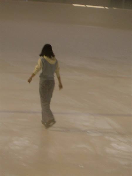 Pista di pattinaggio su ghiaccio