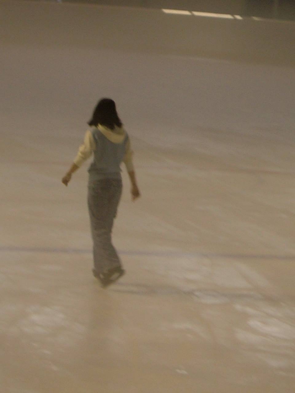Pista di pattinaggio su ghiaccio