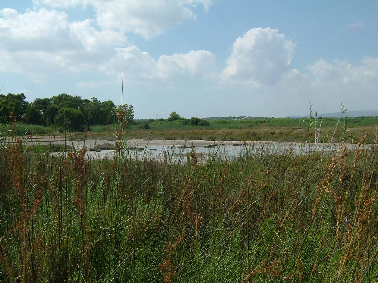 La riserva