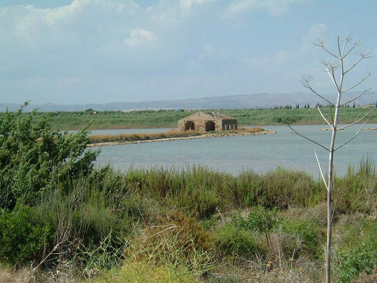 La riserva
