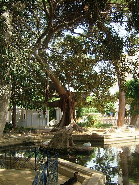 Giardino comunale
