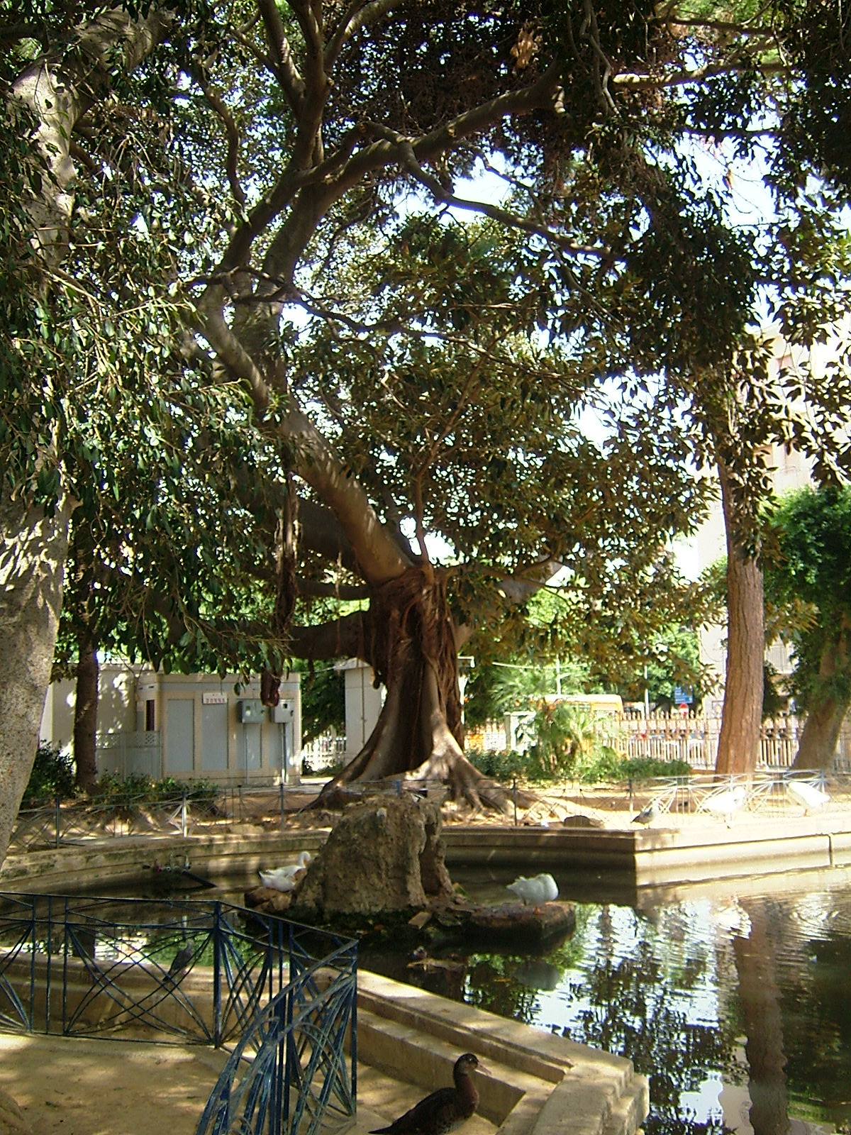 Giardino comunale