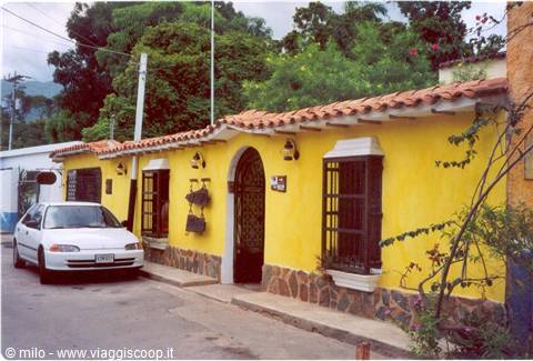 choronì - lemon tree