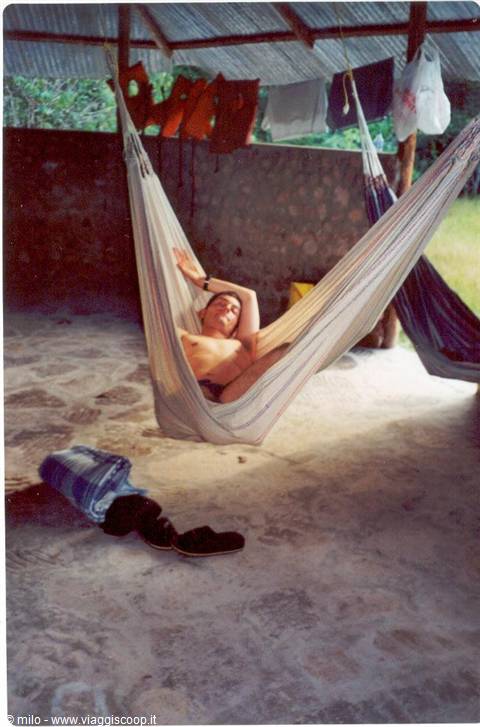 amaca a canaima