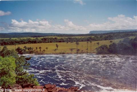 canaima