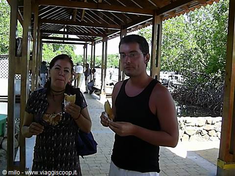 comiendo tiburon con nieves
