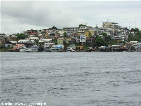 case manaus