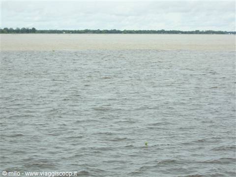 rio negro e rio delle amazzoni