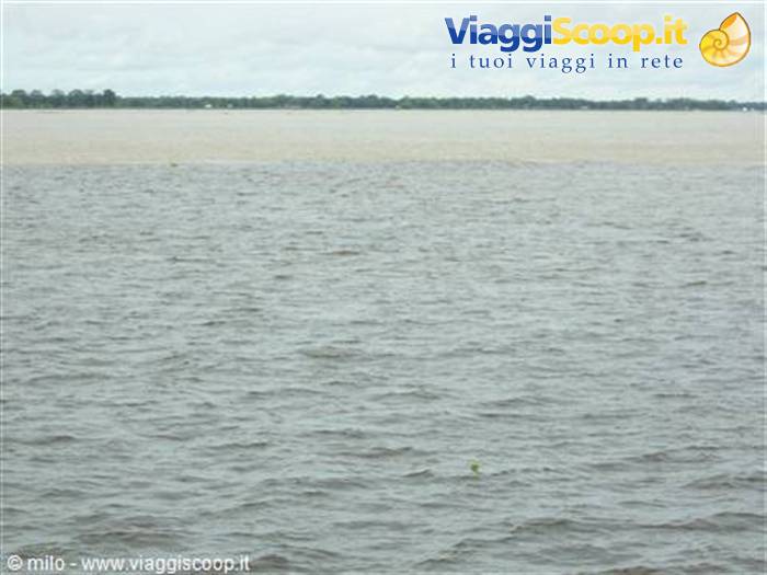 rio negro e rio delle amazzoni