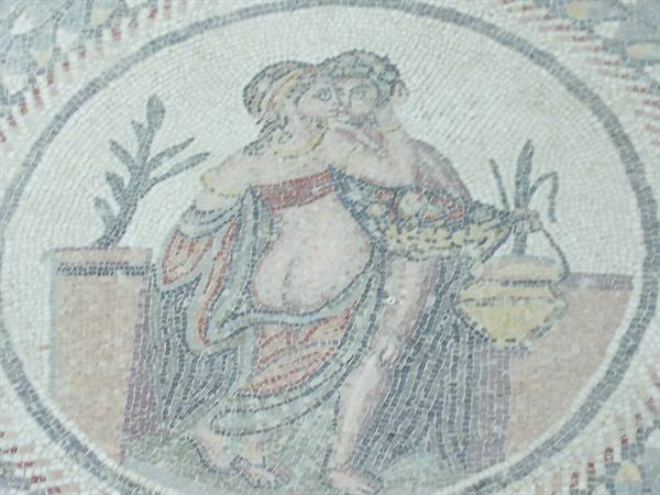 i mosaici
