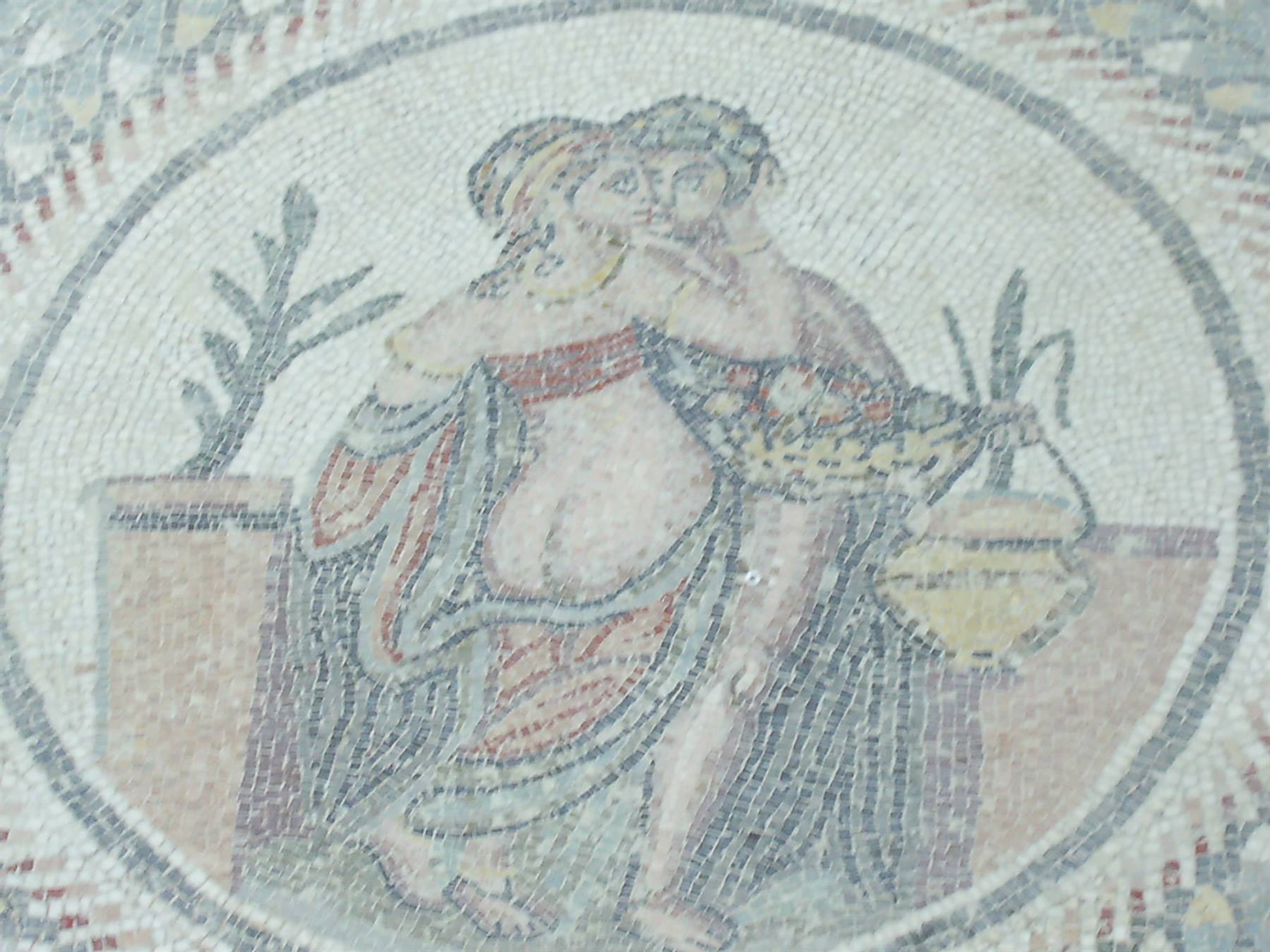 i mosaici