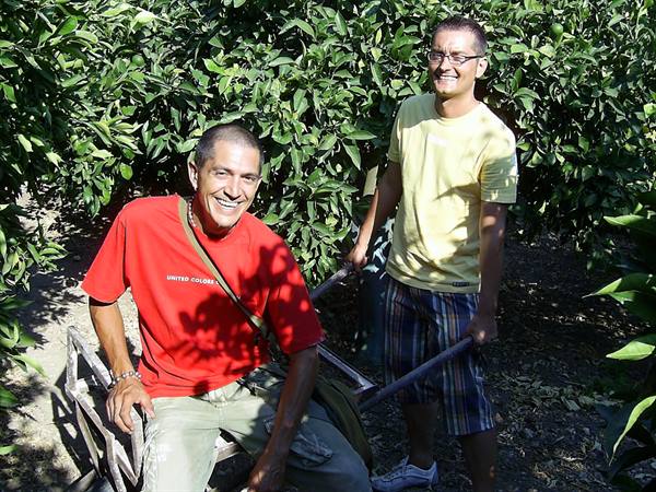 nel frutteto di giovanni
