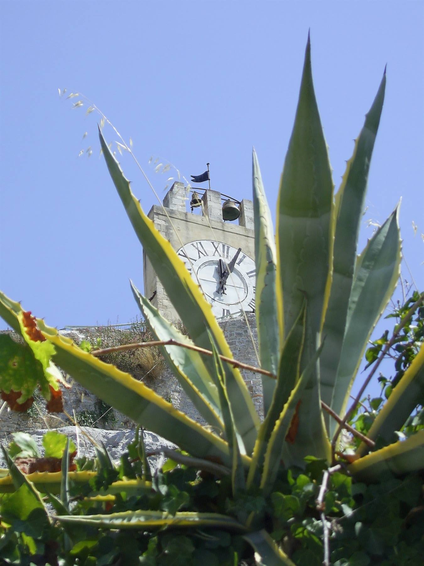 modica