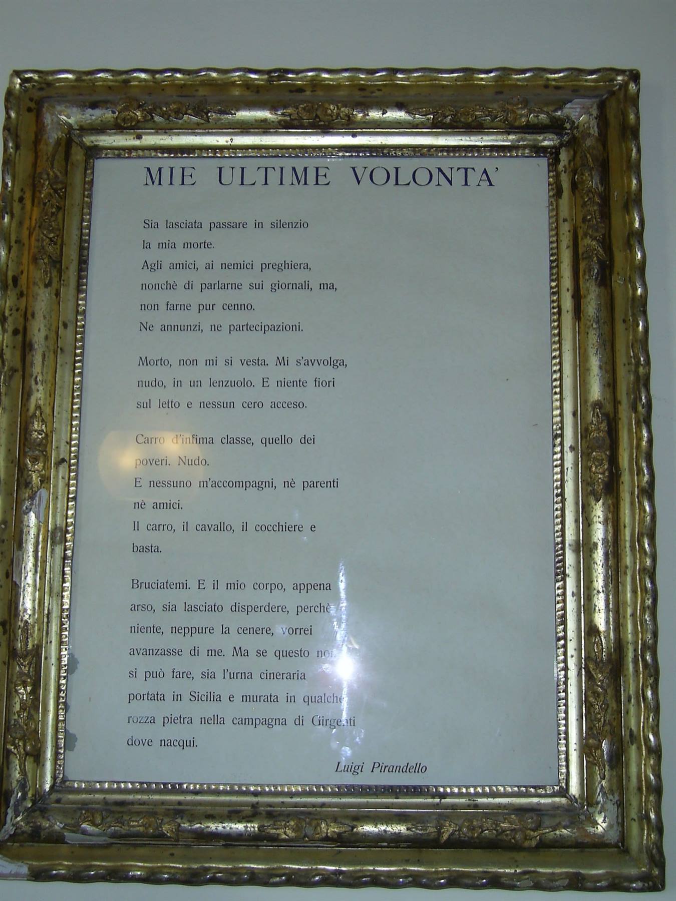 le sue volontà