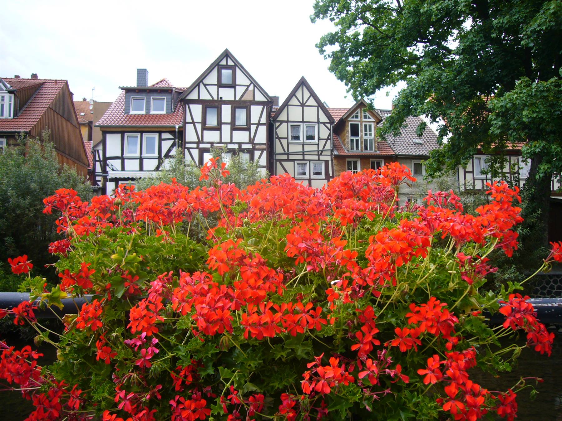 LAUTERBACH