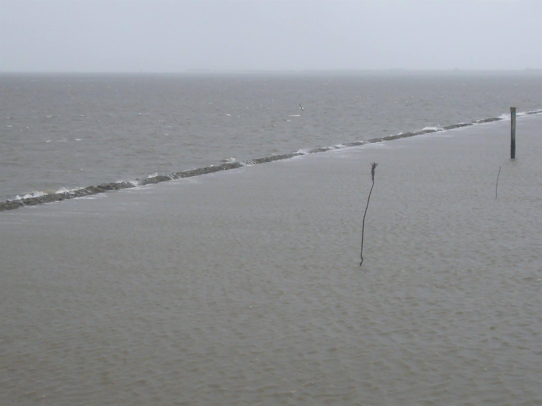 SUL TRAGHETTO PER SPIEKEROOG