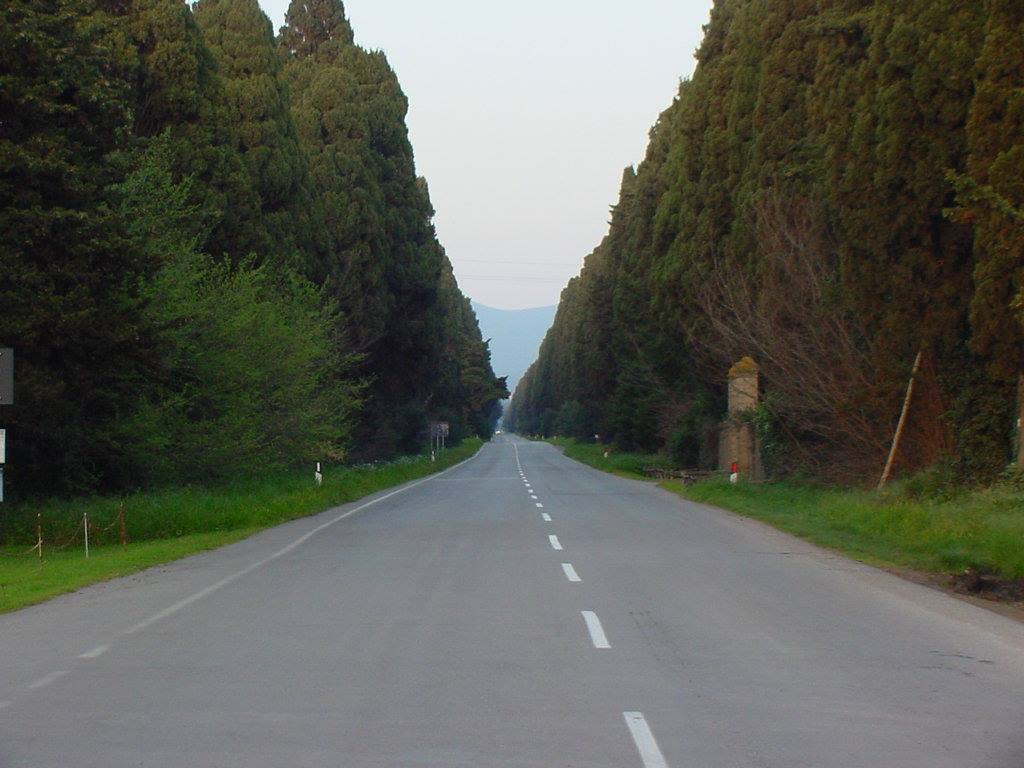 I CIPRESSI CHE DA BOLGHERI  ...