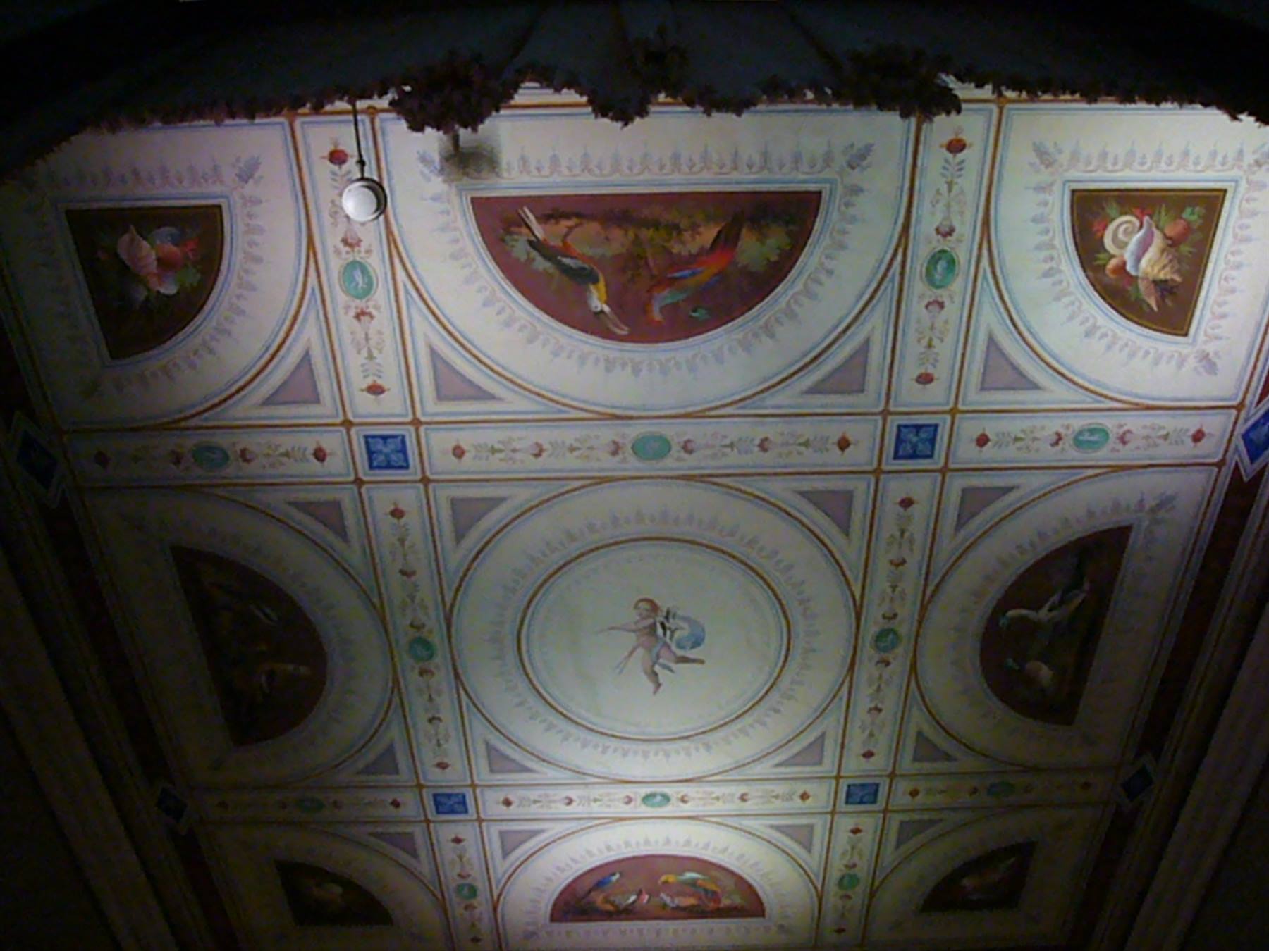 Soffitto affrescato con putto centrale, uccelli esotici e cornici geometriche, luce dall'alto