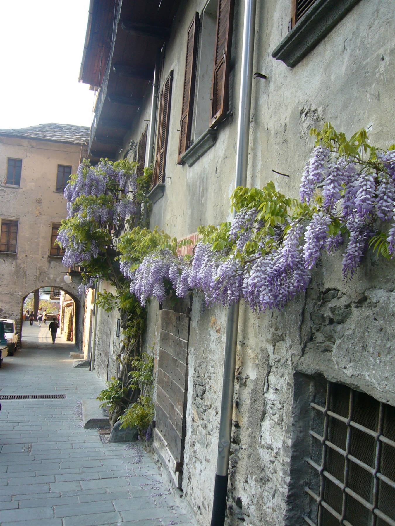 BARD PER LE VIE