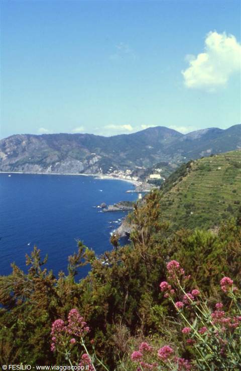 VERNAZZA