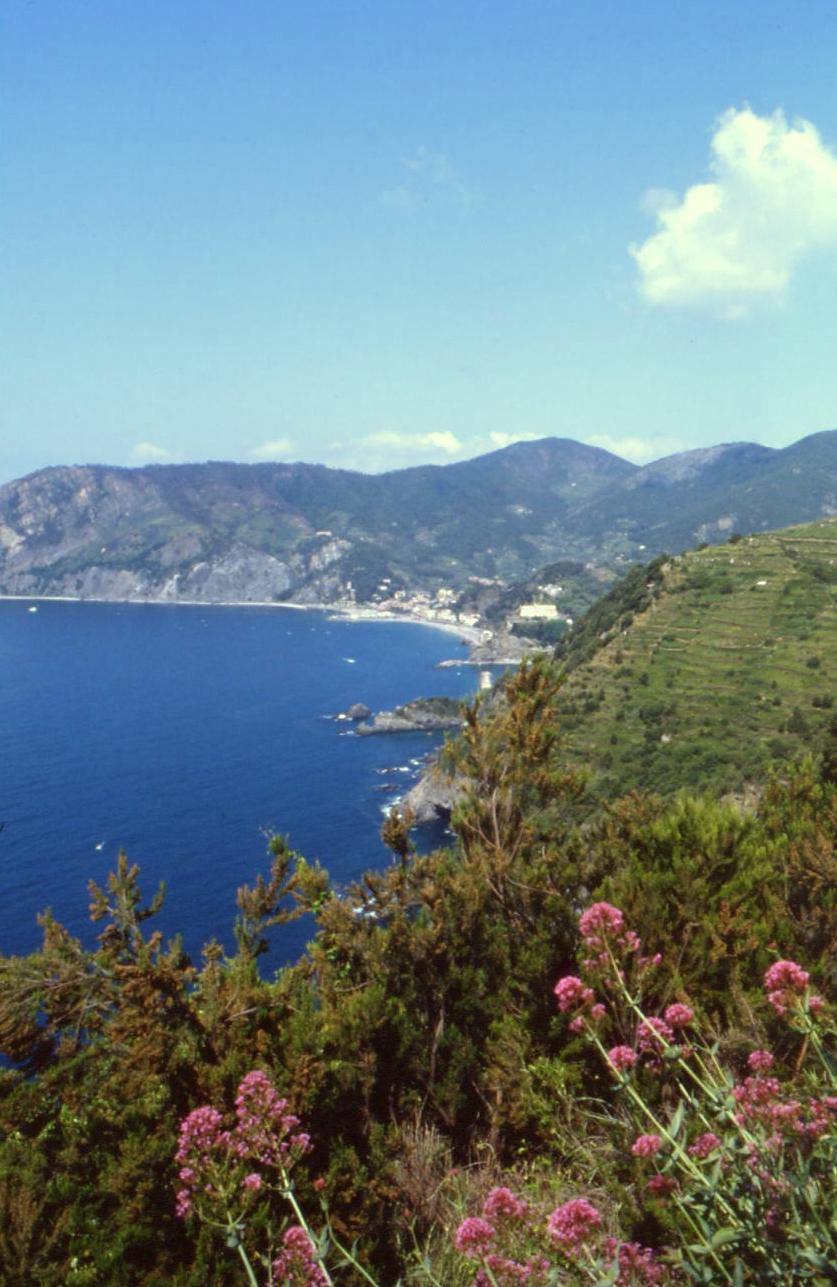 VERNAZZA
