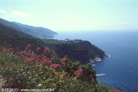 CORNIGLIA