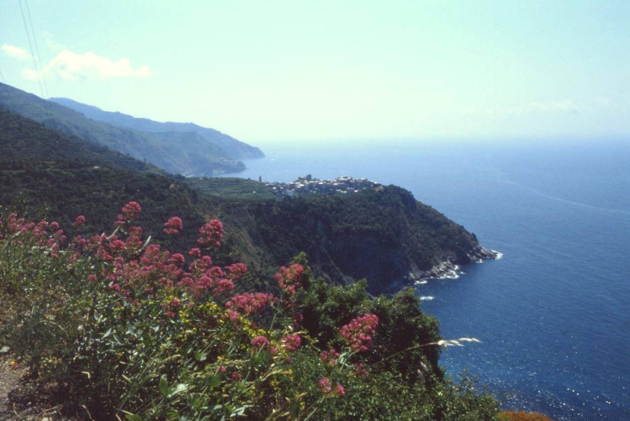 CORNIGLIA