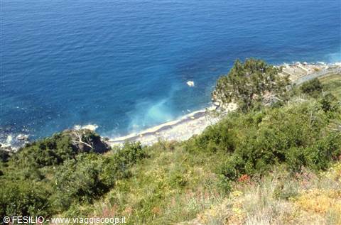 CORNIGLIA