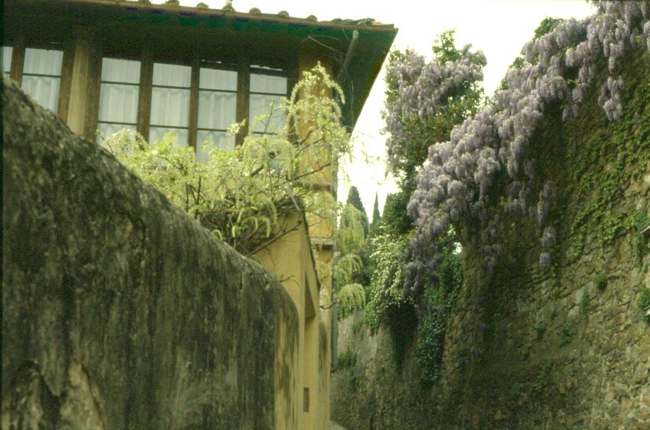 FIESOLE