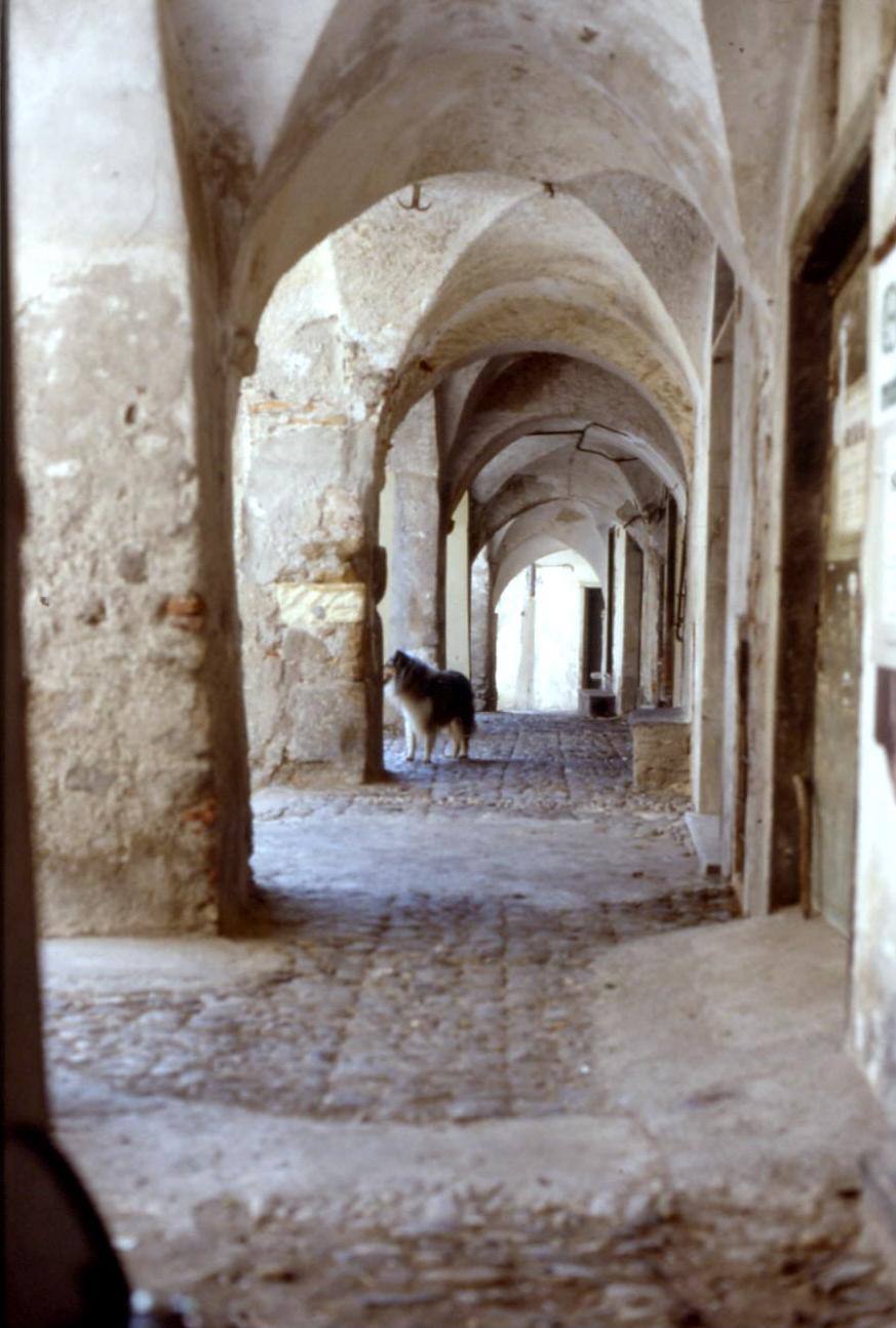 TOIRANO